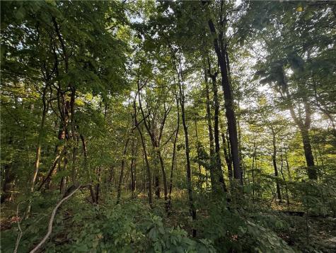 Lot 02 Upper Sassafras Parkway Jasper GA 30143