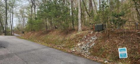 0 Yellow Trillium (Lot 13) Clayton GA 30525