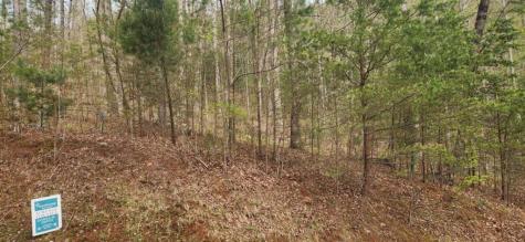 0 Yellow Trillium (Lot 13) Clayton GA 30525