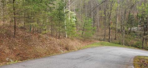 0 Yellow Trillium (Lot 13) Clayton GA 30525