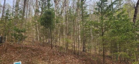 0 Yellow Trillium (Lot 13) Clayton GA 30525