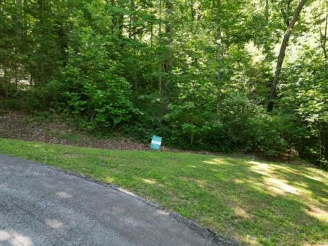 0 Yellow Trillium (Lot 13) Clayton GA 30525