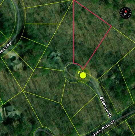 110 Siddiqui Court Waleska GA 30183