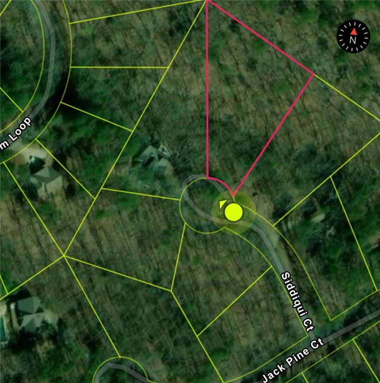110 Siddiqui Court Waleska GA 30183