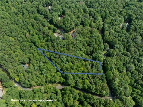 Lt 272 Seneca Drive Ellijay GA 30540