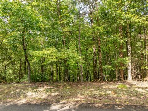 Lt 272 Seneca Drive Ellijay GA 30540