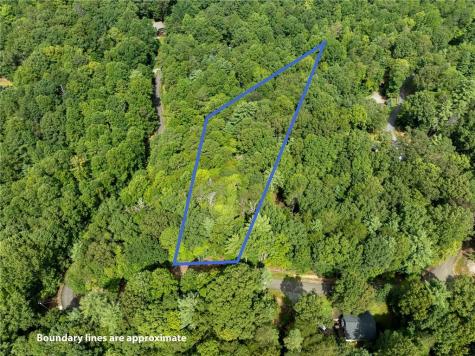 Lt 272 Seneca Drive Ellijay GA 30540