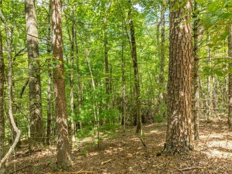 Lt 272 Seneca Drive Ellijay GA 30540