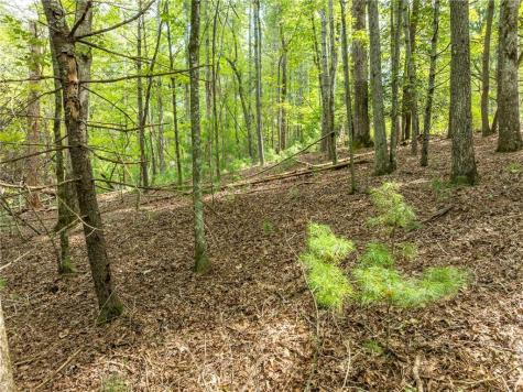 Lt 272 Seneca Drive Ellijay GA 30540