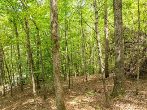 Lt 272 Seneca Drive Ellijay GA 30540