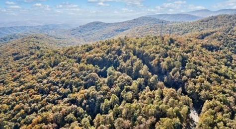 Lot 03 Upper Sassafras Parkway Jasper GA 30143