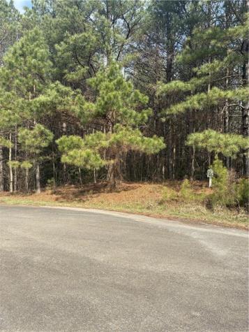 26 Foxpaw Leaf Lane Ellijay GA 30536
