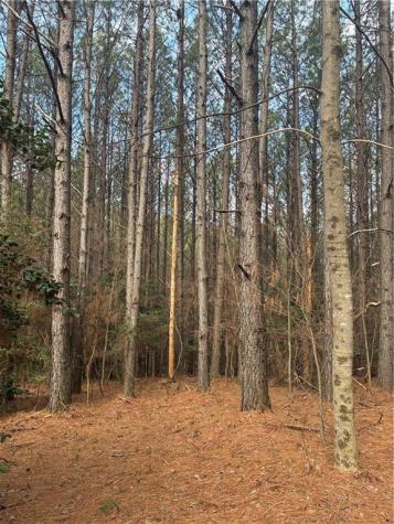 26 Foxpaw Leaf Lane Ellijay GA 30536