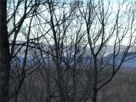 279 Andes Ridge Ellijay GA 30536