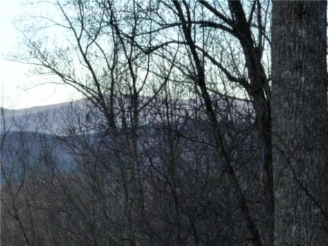 279 Andes Ridge Ellijay GA 30536