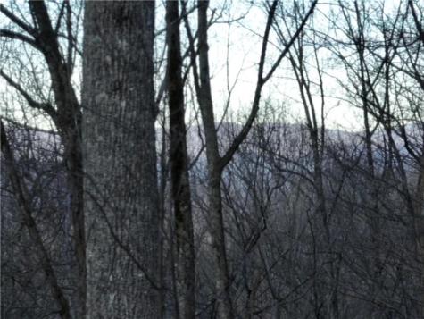 279 Andes Ridge Ellijay GA 30536