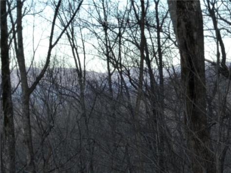 279 Andes Ridge Ellijay GA 30536