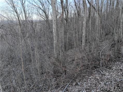 279 Andes Ridge Ellijay GA 30536