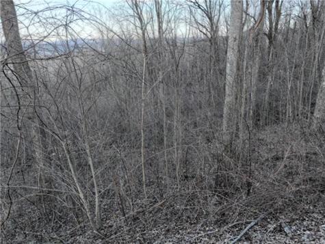 279 Andes Ridge Ellijay GA 30536