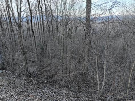 279 Andes Ridge Ellijay GA 30536