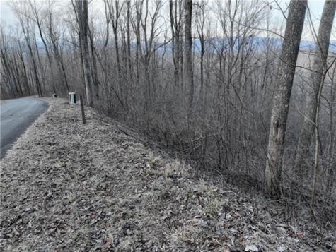 279 Andes Ridge Ellijay GA 30536