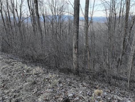 279 Andes Ridge Ellijay GA 30536