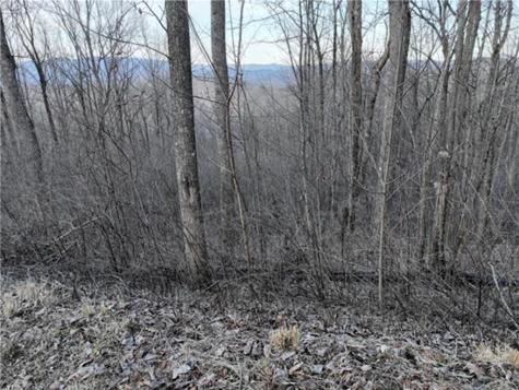 279 Andes Ridge Ellijay GA 30536