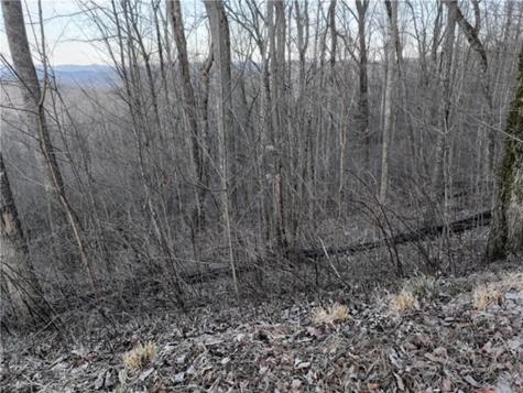 279 Andes Ridge Ellijay GA 30536