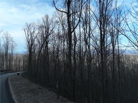 279 Andes Ridge Ellijay GA 30536