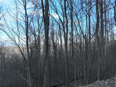 279 Andes Ridge Ellijay GA 30536