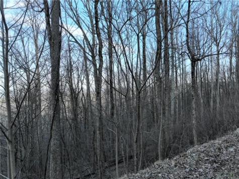 279 Andes Ridge Ellijay GA 30536