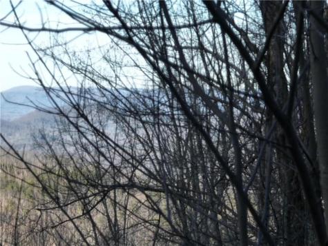 279 Andes Ridge Ellijay GA 30536