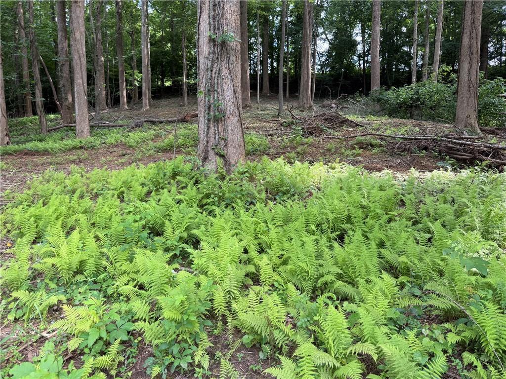 0 Martin Head Circle Dahlonega GA 30533