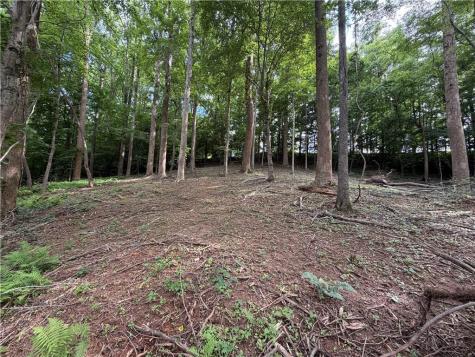 0 Martin Head Circle Dahlonega GA 30533