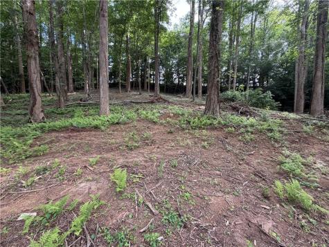 0 Martin Head Circle Dahlonega GA 30533