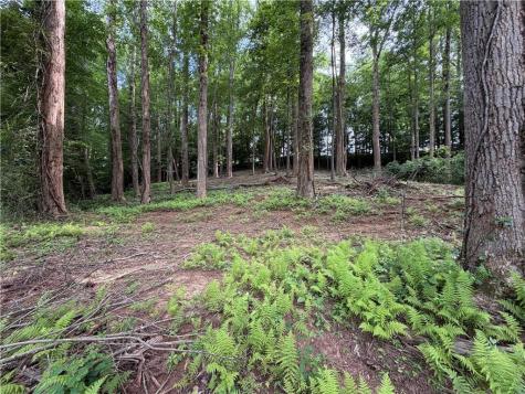 0 Martin Head Circle Dahlonega GA 30533
