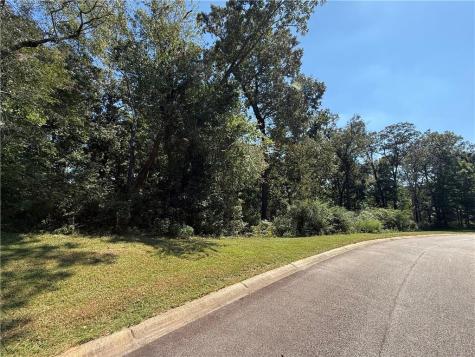0 Mountain Vista Clarkesville GA 30523