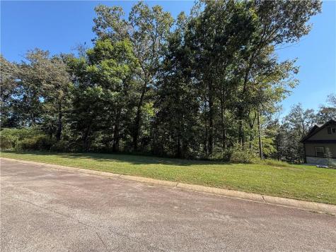 0 Mountain Vista Clarkesville GA 30523