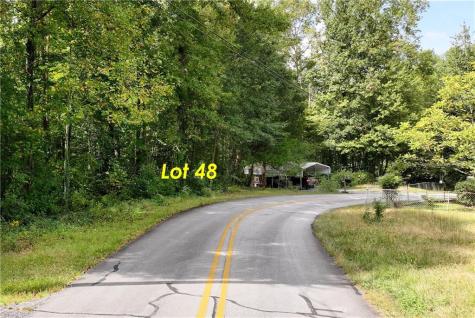 48&50 Barron Drive Clarkesville GA 30523