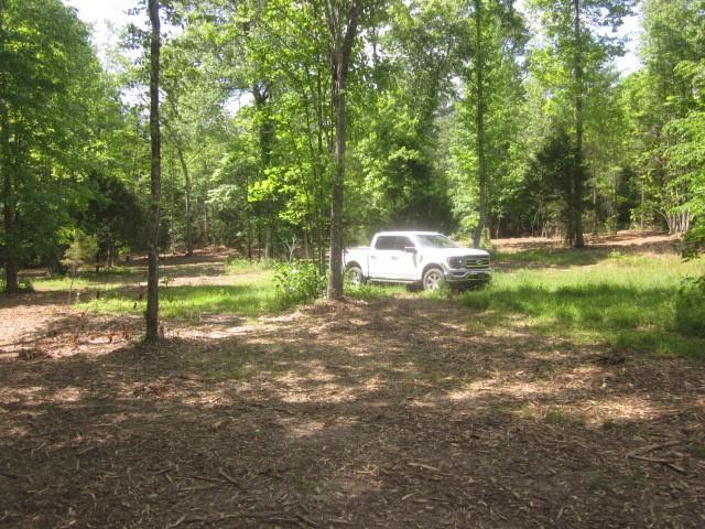 0000 Highway 136- 11.31 Acres W Talking Rock GA 30175