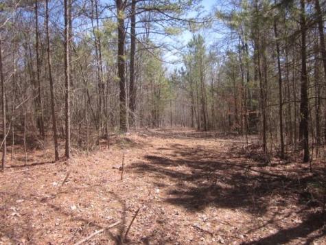 0000 Highway 136- 11.31 Acres W Talking Rock GA 30175