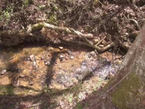 0000 Highway 136- 11.31 Acres W Talking Rock GA 30175