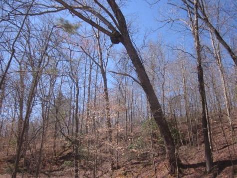 0000 Highway 136- 11.31 Acres W Talking Rock GA 30175
