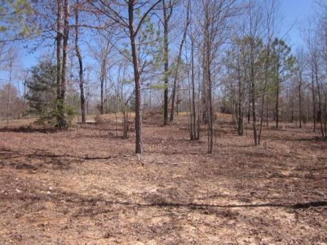 0000 Highway 136- 11.31 Acres W Talking Rock GA 30175