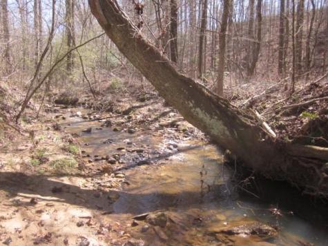 0000 Highway 136- 11.31 Acres W Talking Rock GA 30175