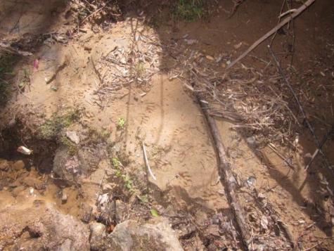 0000 Highway 136- 11.31 Acres W Talking Rock GA 30175
