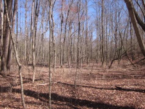 0000 Highway 136- 11.31 Acres W Talking Rock GA 30175