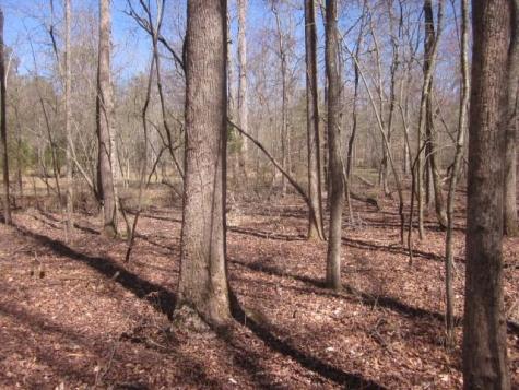 0000 Highway 136- 11.31 Acres W Talking Rock GA 30175