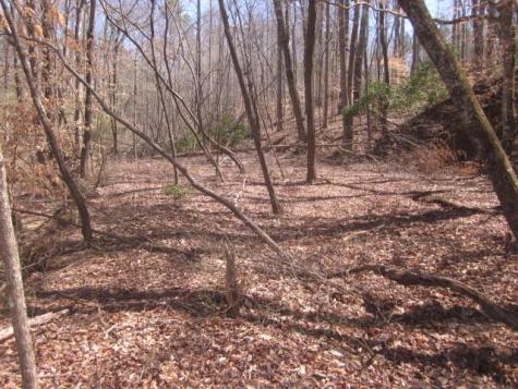 0000 Highway 136- 11.31 Acres W Talking Rock GA 30175