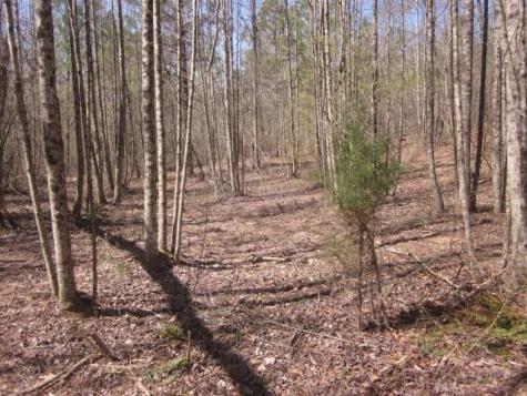 0000 Highway 136- 11.31 Acres W Talking Rock GA 30175